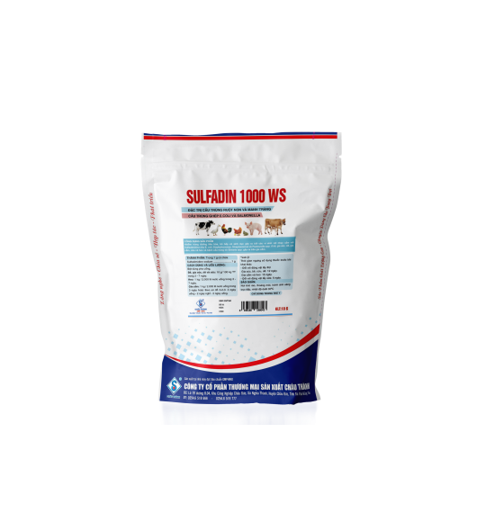 Kháng sinh hàm lượng cao AMOX 50 Kháng sinh hàm lượng cao AMOX 50