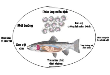 HỘI NGHỊ ĐỐI TÁC CHIẾN LƯỢC PHÁT TRIỂN VỮNG BỀN CÙNG CHÂU THÀNH